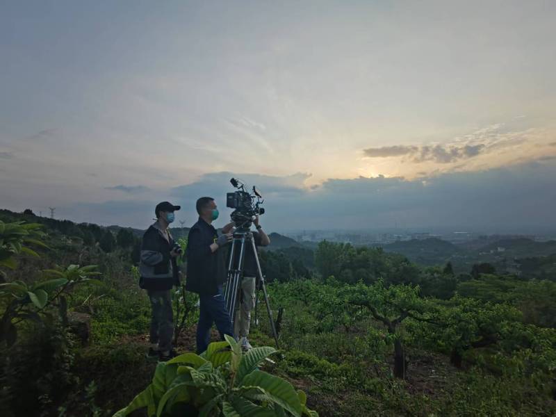 创意破圈！罗湖区电商产品宣传视频用故事化叙事引爆流量