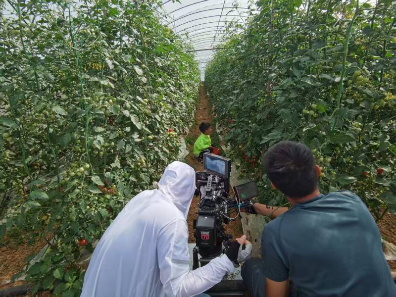 罗湖区产品宣传视频拍摄公司进阶指南，助力品牌抢占传播高地